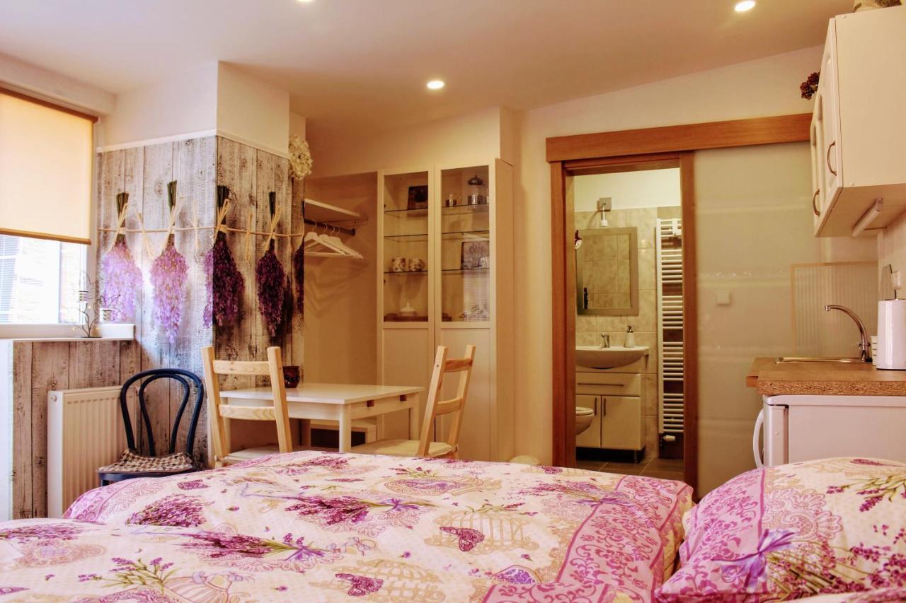 Apartmán Za kopcem Boskovice Exterior foto